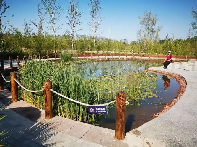昌平温榆河湿地公园