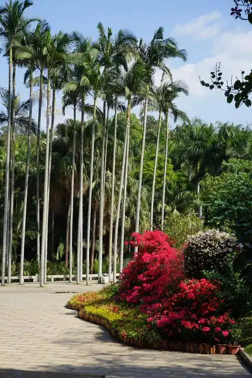 厦门园林植物园