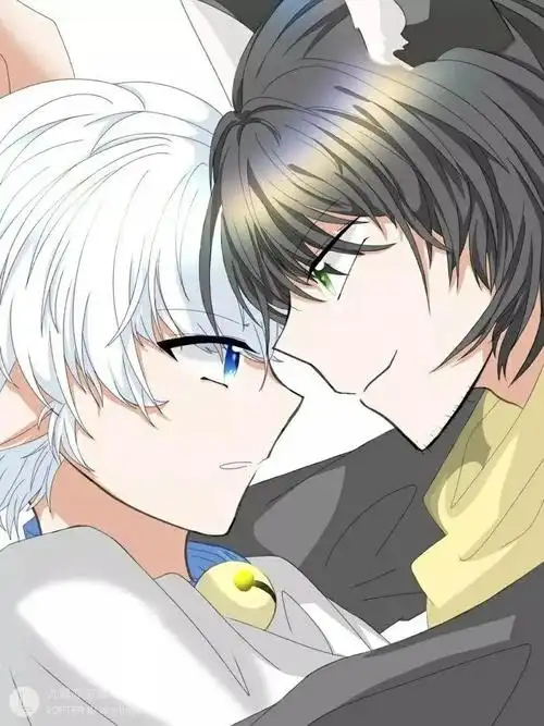 《胜喜·你是我的命中注定(看图2)》 - 半次元 - acg爱好者社区