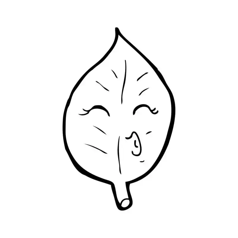叶可爱卡通,vector, cute leaf cartoon on a white background