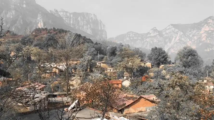 太行山仙客来写生基地欢迎您