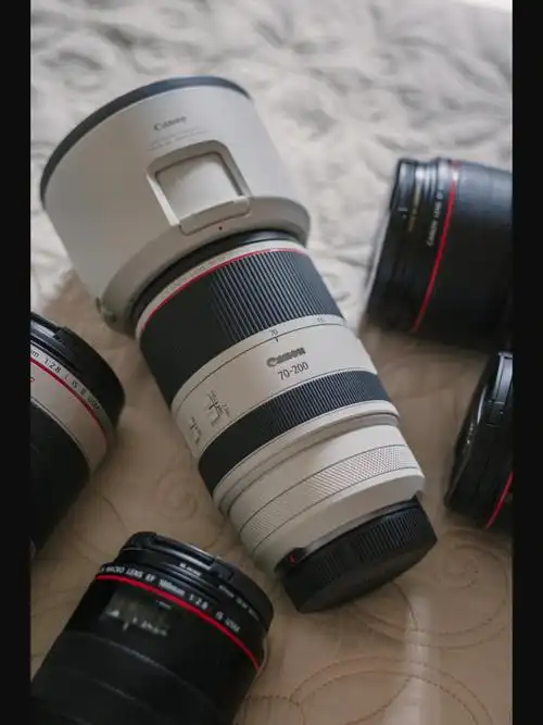 佳能rf70-200 f2.8|会是你的梦中镜头吗91