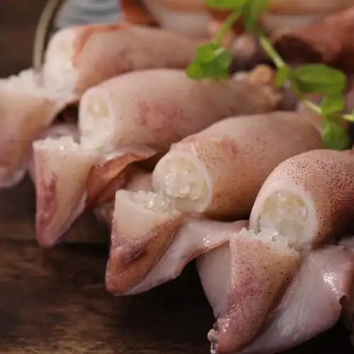 籽乌满籽八爪鱼鲜活墨鱼冷冻笔管海鲜水产章鱼冷冻章鱼