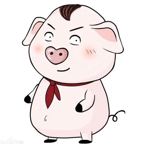 cnq最近喜欢看猪屁登,吼吼吼