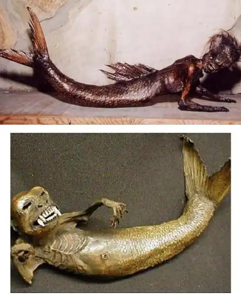 美人鱼真身恐怖吓人带你欣赏真实美人鱼图片慎入