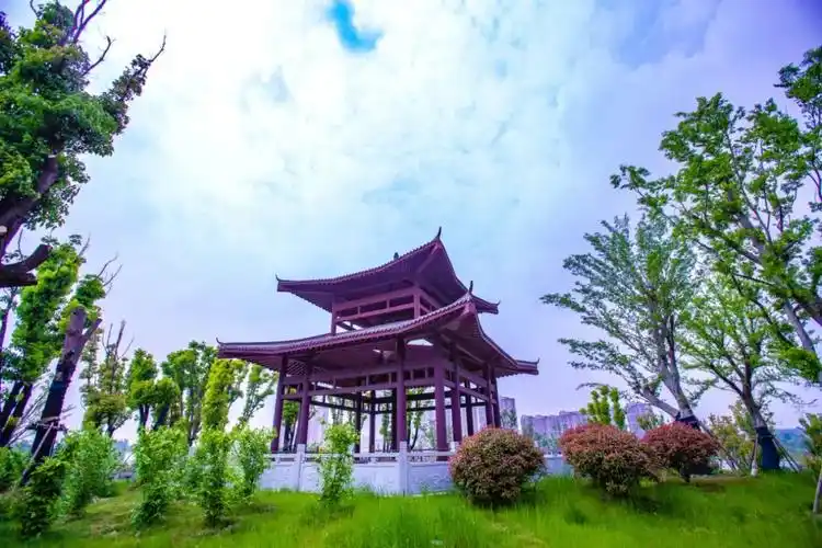 阜阳又一大型公园开放了_澎湃号·政务_澎湃新闻-the paper