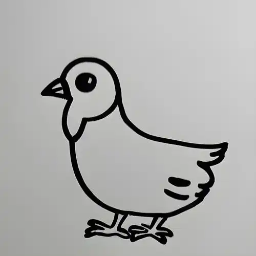 小鸡的简笔画大全,小鸡简笔画大全 小动物