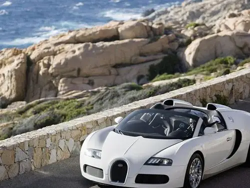 白色威航车前左侧