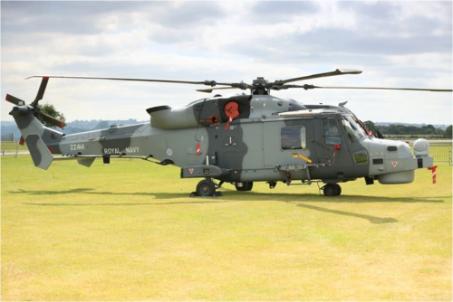 [山猫] - 搜索 - 重庆微发布