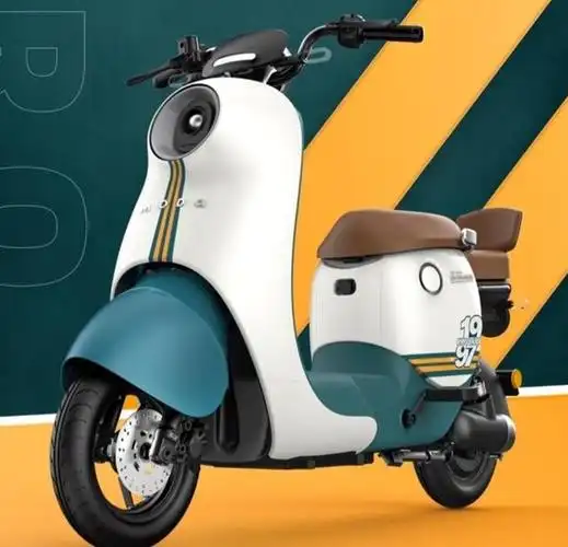 全国电动自行车十大排名(全国电动自行车十大排名品牌)