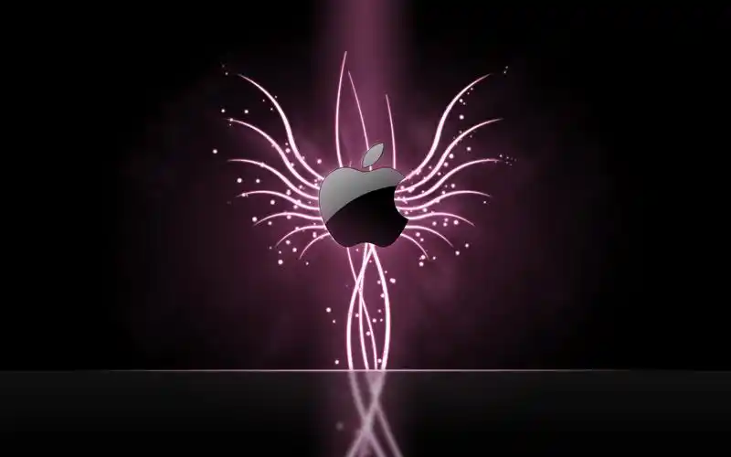 苹果精选apple品牌广告壁纸