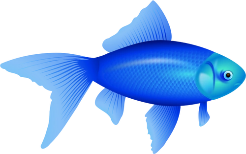 蓝色金鱼简笔画