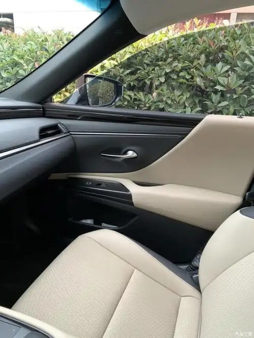 【图】有没有老铁有实车es200白内饰的图片_雷克萨斯es论坛_汽车之家