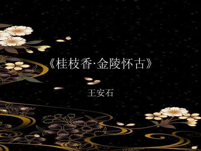 《桂枝香金陵怀古》课件陈琛.ppt