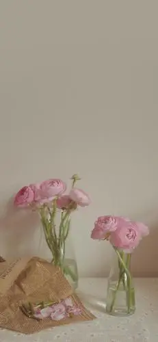 无水印手机壁纸图集 好干净的感觉