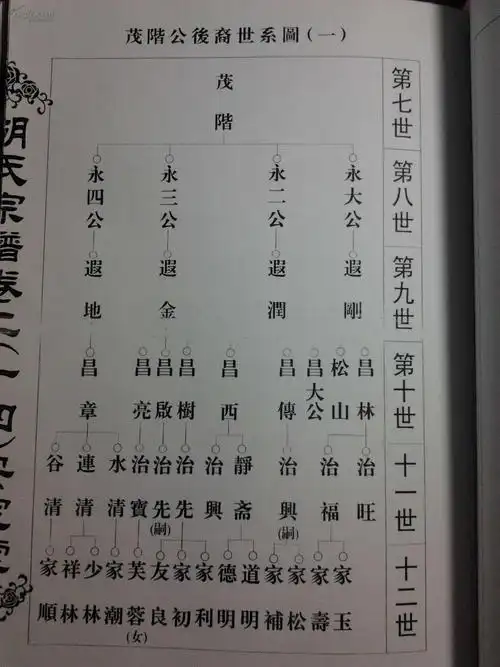 【图】胡氏宗谱 卷之二 安定堂 打印,拍品信息,网上拍卖,拍卖图片