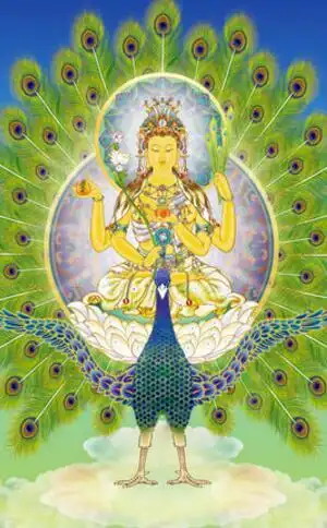 准圣级别的孔宣到底是何来历,为何在纣王手下只做个小小的总兵?