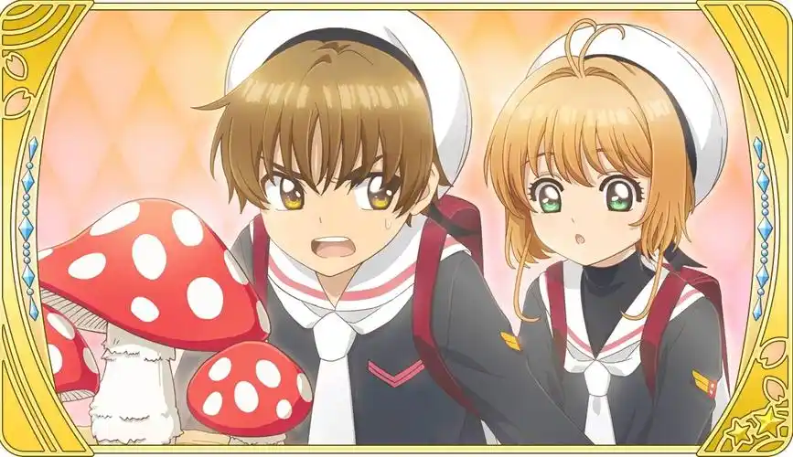 樱狼- 堆糖,美图壁纸兴趣社区