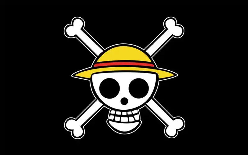 求海贼王上的旗帜图片.