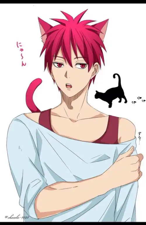 黑子的篮球 赤司巨巨 赤司征十郎