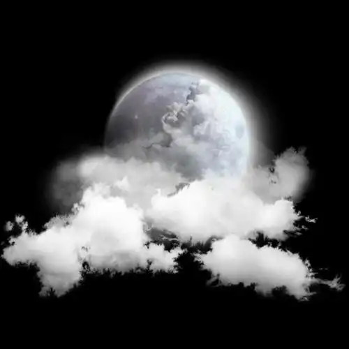 三色堇儿免抠透明溶图png底纹边框壁纸设计素材小说封面设计欧式花纹