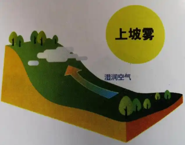 雾分为平流雾,蒸发雾,上坡雾平流雾是当暖湿空气平流到较冷的下垫面上