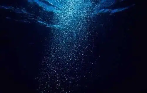 海底大约8千米处,已经没有存活的鱼类