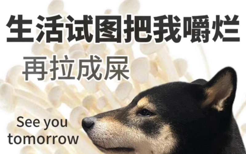 表情包 生活奈我何生活试图把我嚼烂再拉成屎但我是顽强的金针菇日化r