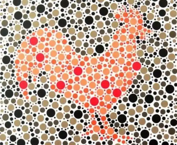 想要考驾驶证的话先看看这几张色盲检测图看准了再考不迟