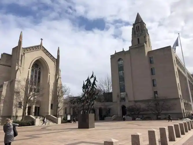 波士顿大学&东北大学