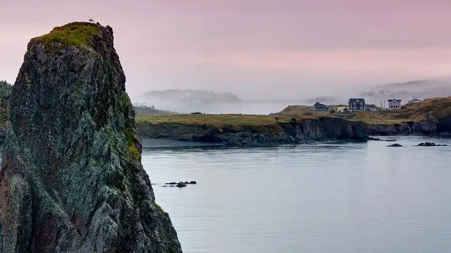 p data-id="gncn869a4l"> b>纽芬兰岛 /b>(英语:newfoundland,法语