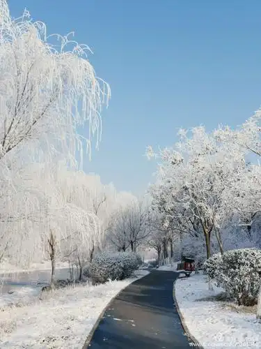 yjss58的美篇倪伦河畔雪景图