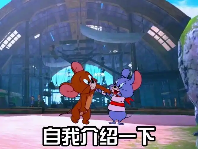 自我介绍一下本人的兴趣爱好