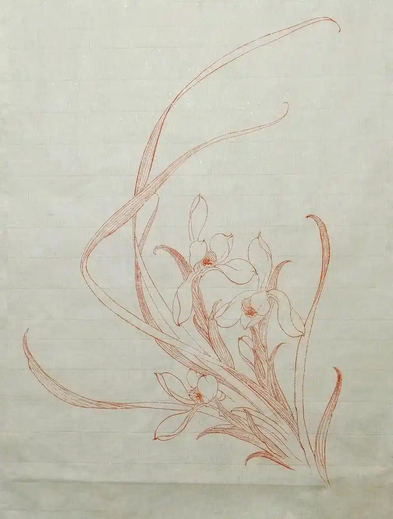 每日一练|白描花卉～兰花 #白描