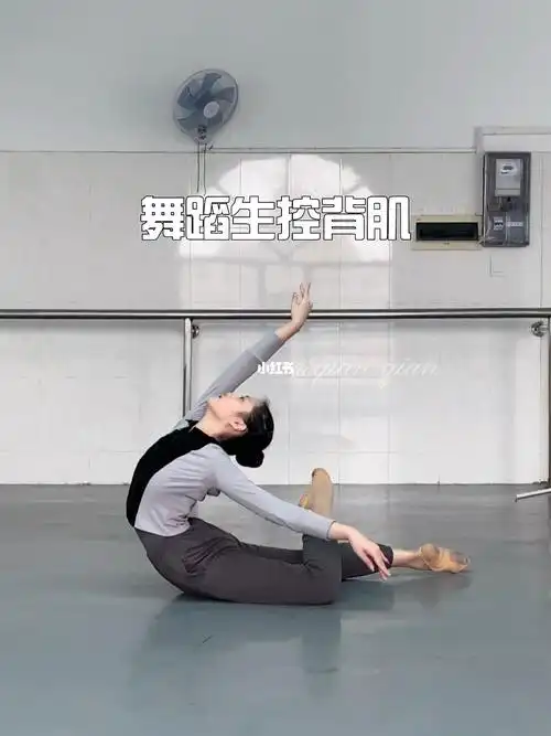 嘿嘿嘿嘿嘿嘿嘿嘿嘿嘿嘿嘿嘿舞蹈生背肌