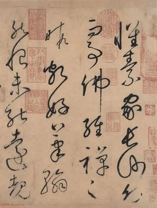 以芭蕉叶练字怀素草书天下独步