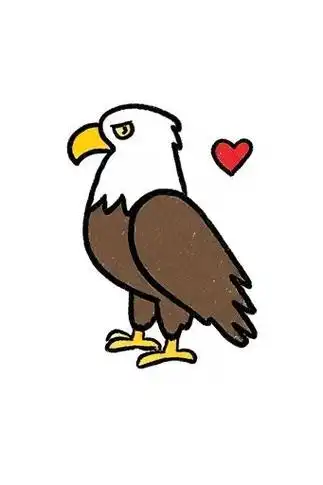 🦅白头海雕简笔画来啦!🎨