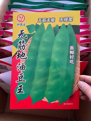 新籽东北油豆角籽矮生无筋地油豆角种子不搭架春季蔬菜种子包邮