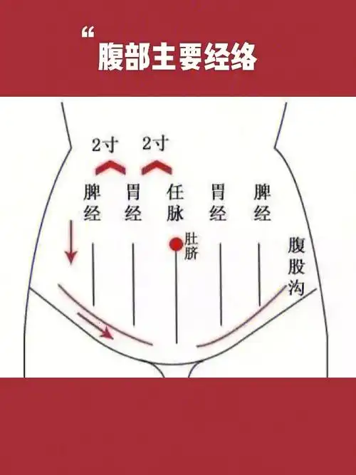 揉腹1月,腰细5公分!艾灸腹部1年改善慢性病!