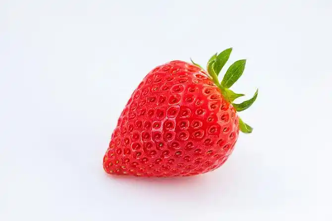 物体图片_全景网