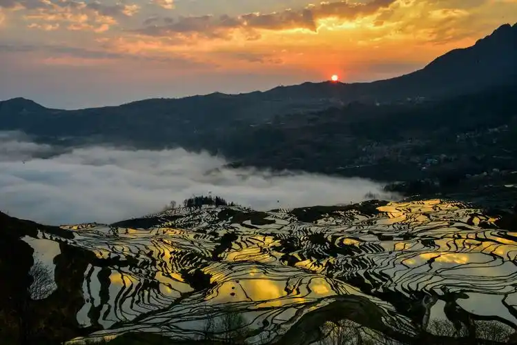 元阳多依树梯田日出