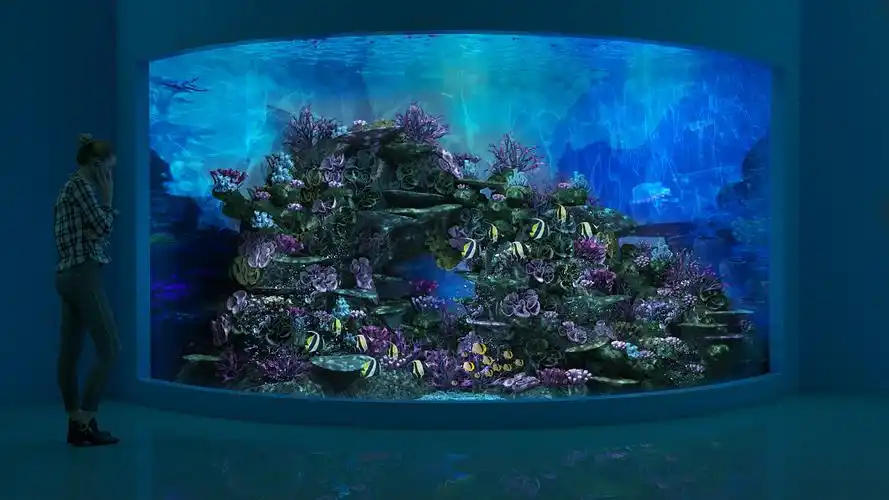 海洋馆设计,鱼缸设计,景观设计,海底珊瑚,鱼缸效果广州