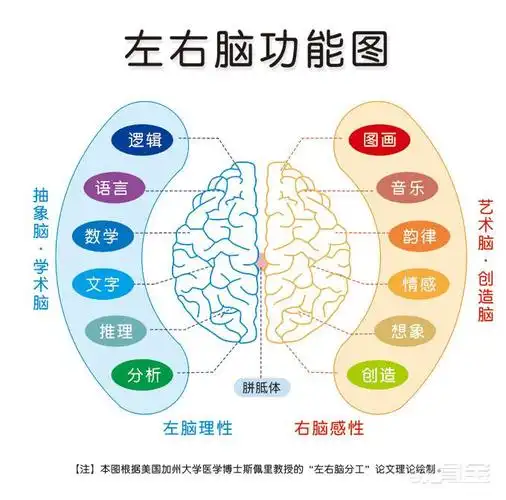 研究发现太极拳锻炼可改变大脑功能活动