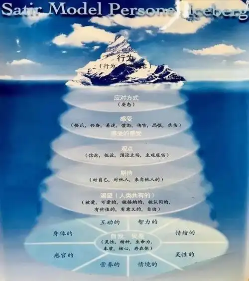 萨提亚冰山的内容