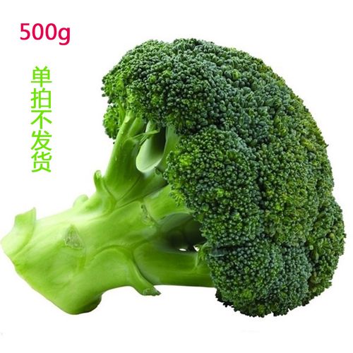崇明新鲜西兰花绿花菜花椰菜沙拉配菜500g 单拍不发货