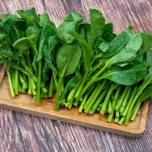 东升农场东升有机菜心苗小菜心菜薹苗广州蔬菜新鲜配送250g