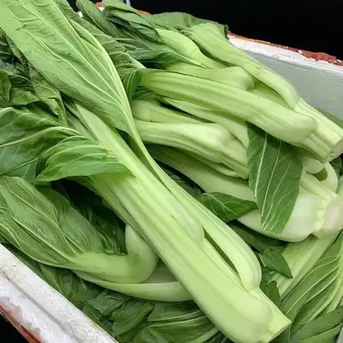 今天新到的连州菜心,打过霜,很清甜
