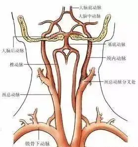当椎基底动脉和颈动脉供血不足时,常会出现眩晕等症状,因此处理枕骨大
