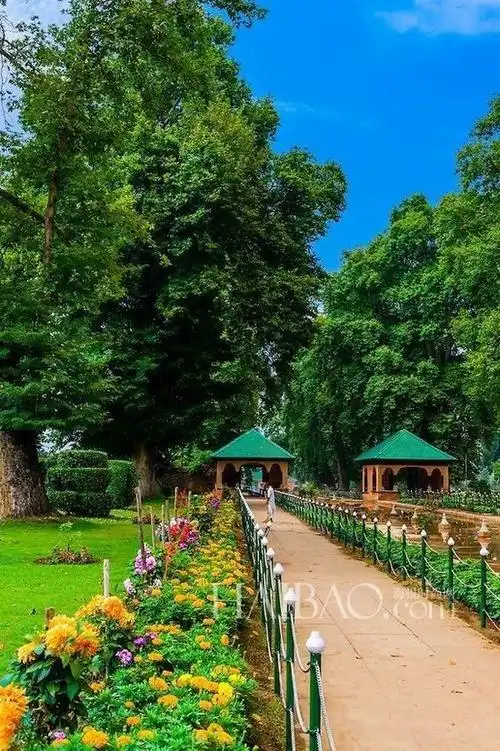 美丽花园 花园景观