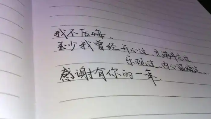 致初恋〕感谢经历,手写句子,原创,请叫我顿号控,:)